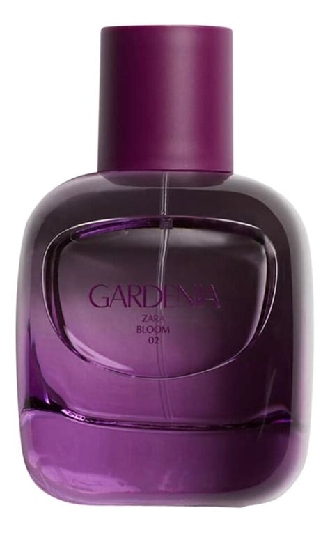 gardenia zara bloom 02